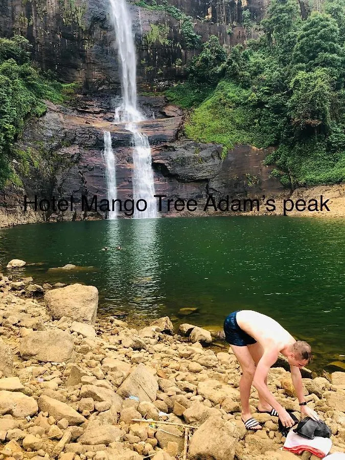 Hotel Mango Tree Nearest Adam'S Peak Nallathanniya