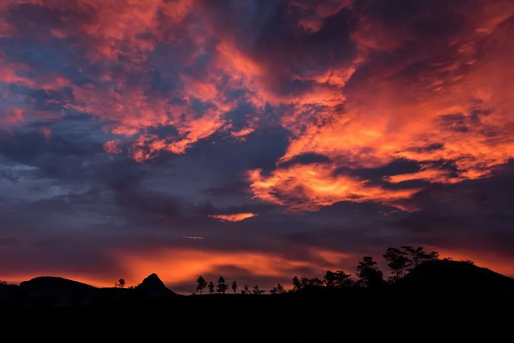 ** Guest house Hotel Mango Tree Nearest Adam'S Peak Nallathanniya Sri Lanka